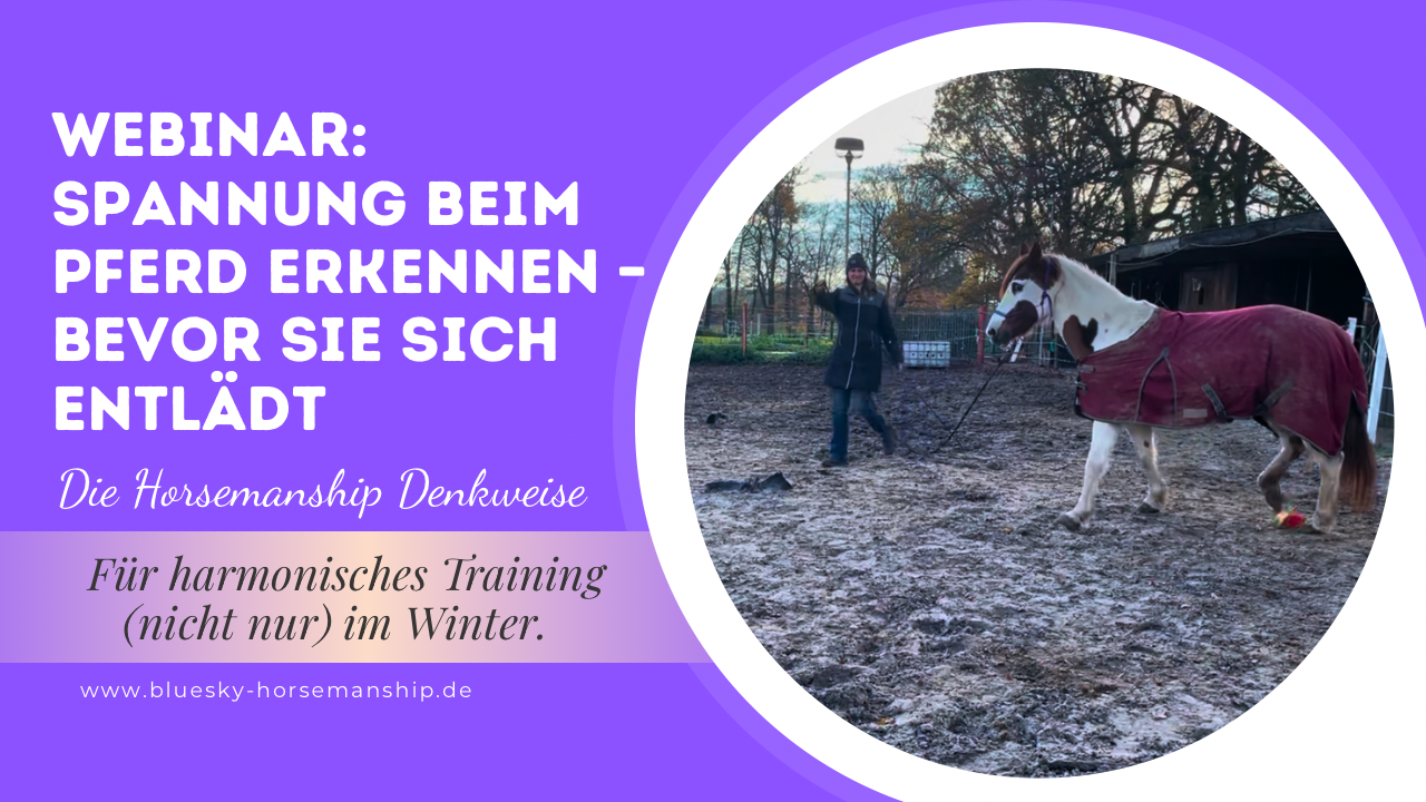 Beitragsbild Webinar Januar 2026