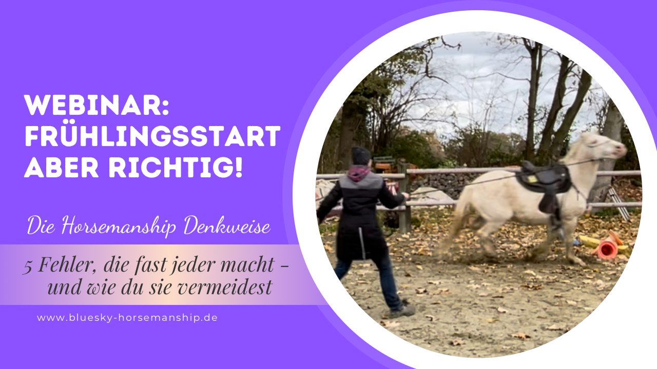Frühlingsstart mit deinem Pferd - aber richtig